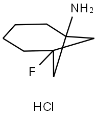 6-Fluorobicyclo[4.1.1]octan-1-amine (hydrochloride) Struktur