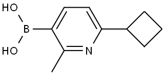 化學(xué)構(gòu)造式