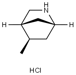 (1R,4R,5R)-5-Methyl-2-azabicyclo[2.2.1]heptane hydrochloride Struktur
