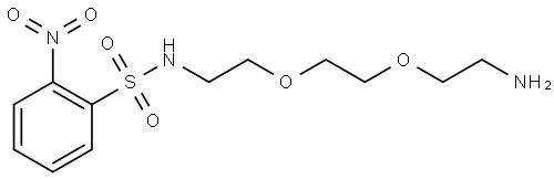 Benzenesulfonamide, N-[2-[2-(2-aminoethoxy)ethoxy]ethyl]-2-nitro- Struktur
