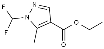 ethyl 1-(difluoromethyl)-5-methyl-pyrazole-4-carboxylate Struktur