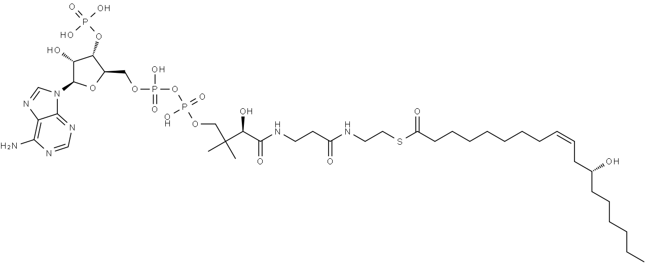 Ricinoleyl-CoA Struktur