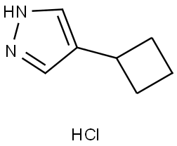 4-cyclobutyl-1H-pyrazole hydrochloride Struktur