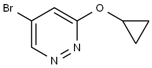 5-Bromo-3-cyclopropoxypyridazine Struktur