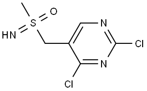 ((2,4-Dichloropyrimidin-5-yl)methyl)(imino)(methyl)-l6-sulfanone Struktur