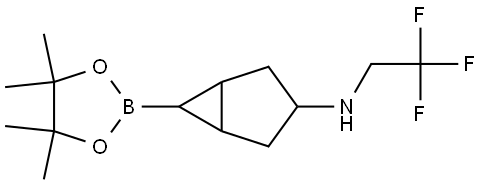 6-(4,4,5,5-Tetramethyl-1,3,2-dioxaborolan-2-yl)-N-(2,2,2-trifluoroethyl)bicyclo[3.1.0]hexan-3-amine Struktur