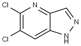 5,6-Dichloro-1H-pyrazolo[4,3-b]pyridine Struktur