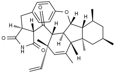GKK1032B Struktur