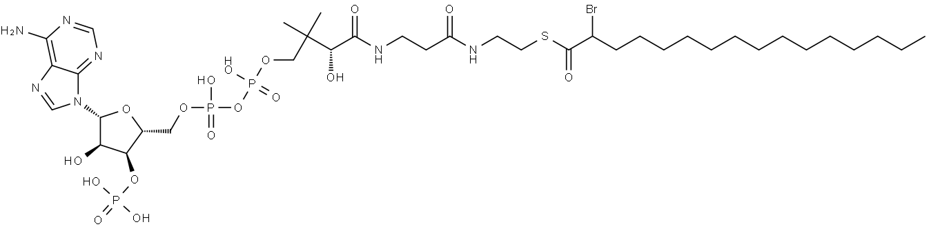 Coenzyme A, S-(2-bromohexadecanoate) Struktur