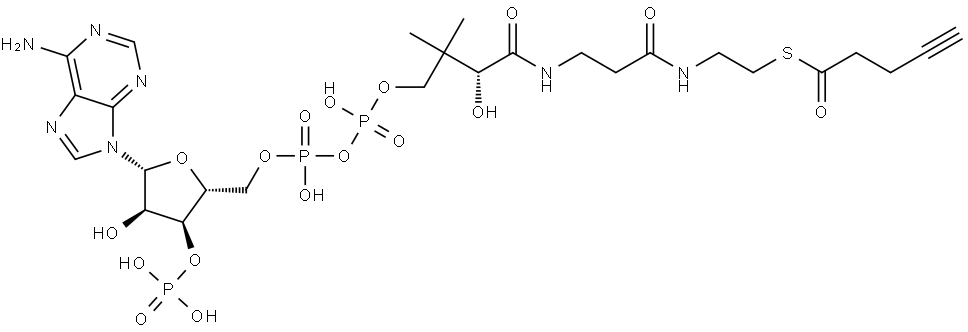4-Pentynoyl-CoA Struktur