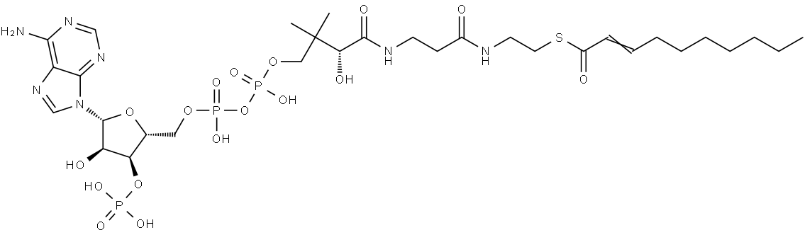 2-Decenoyl-CoA Struktur