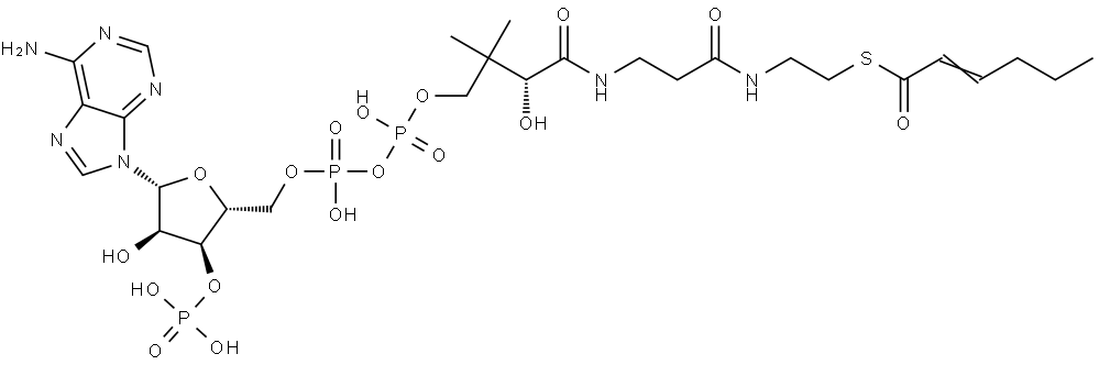 S-2-hexenoate-CoA Struktur