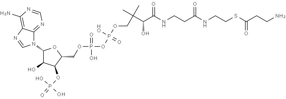 3-Aminopropionyl-CoA Struktur