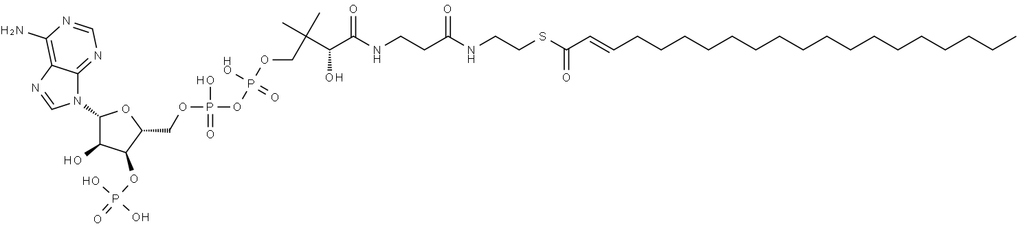 Coenzyme A, S-(2E)-2-eicosenoate Struktur