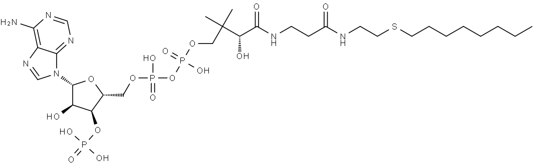 Octyl-CoA Struktur