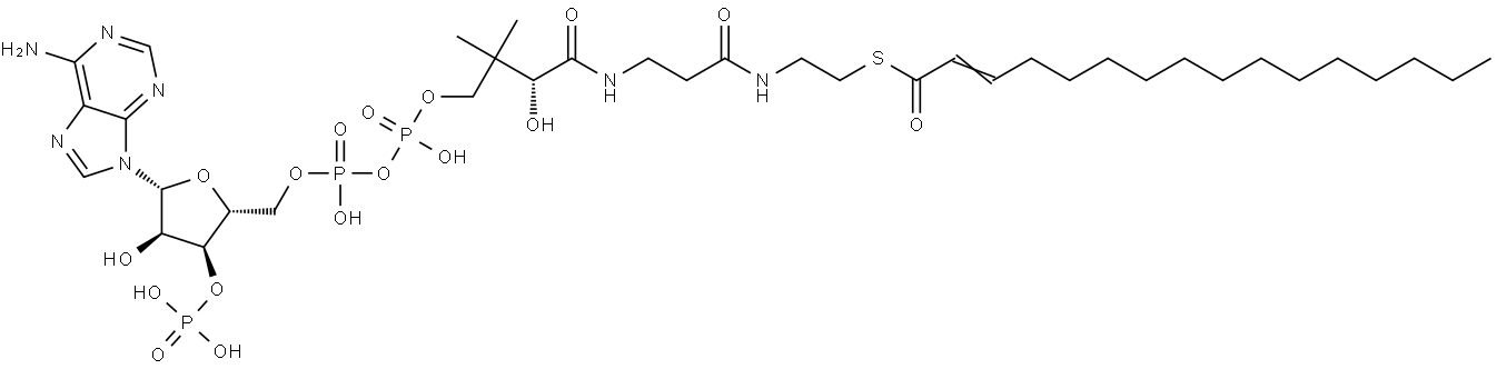 2-Hexadecenoyl-CoA Struktur