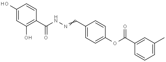 4-(2-(2,4-DIHYDROXYBENZOYL)CARBOHYDRAZONOYL)PHENYL 3-METHYLBENZOATE Struktur