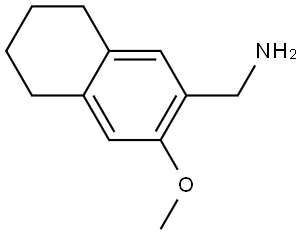 (3-Methoxy-5,6,7,8-tetrahydronaphthalen-2-yl)methanamine|(3-甲氧基-5,6,7,8-四氫萘-2-基)甲胺