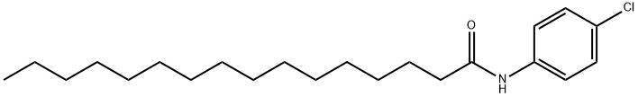 HexadecanaMide, N-(4-chlorophenyl)- Struktur