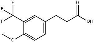 3-[4-Methoxy-3-(trifluoromethyl)phenyl]propionicacid Struktur