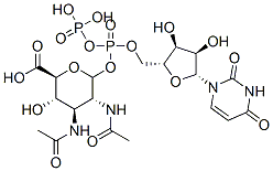 uridine 5'-diphospho-2,3-diacetamido-2,3-dideoxyglucopyranuronic acid Struktur