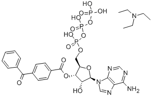 2'- AND 3'-O-(4-BENZOYLBENZOYL)-ADENOSINE 5'-TRIPHOSPHATE TRIETHYLAMMONIUM SALT Struktur