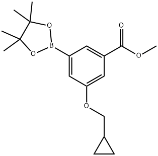 Methyl 3-(cyclopropylmethoxy)-5-(4,4,5,5-tetramethyl-1,3,2-dioxaborolan-2-yl)benzoate|3-METHOXYCARBONYL-5-(CYCLOPROPYLMETHOXY)PHENYLBORONIC ACID, PINACOL ESTER