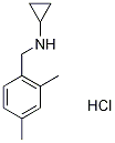 N-Cyclopropyl-2,4-dimethylbenzylamine hydrochloride, 4-(Cyclopropylamino)-m-xylene hydrochloride Struktur