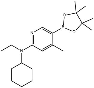 N-cyclohexyl-N-ethyl-4-Methyl-5-(4,4,5,5-tetraMethyl-1,3,2-dioxaborolan-2-yl)pyridin-2-aMine Struktur