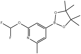 2-Difluoromethoxy-6-methylpyridine-4-boronic acid pinacol ester Structure