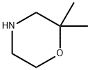 2,2-dimethylmorpholine|2,2 -甲基嗎啉
