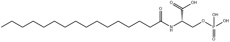 L-NASPA Struktur