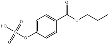 Propyl Paraben Sulfate Struktur