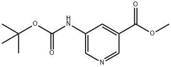 ??5-((tert-???????)aMino)??????