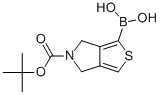 5-(TERT-BUTOXYCARBONYL)-5,6-DIHYDRO-4H-THIENO[3,4-C]PYRROL-1-YL BORONIC ACID Struktur