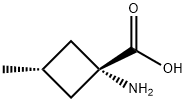 Cyclobutanecarboxylic acid, 1-amino-3-methyl-, trans- (9CI)|反式-1-氨基-3-甲基環(huán)丁烷甲酸