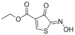 3-Thiophenecarboxylicacid,4,5-dihydro-5-(hydroxyimino)-4-oxo-,ethylester(9CI) Struktur