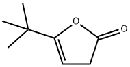 5-tert-butyl-3H-furan-2-one Struktur