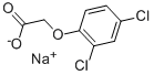 2702-72-9 Structure