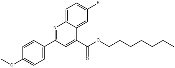 SALOR-INT L207810-1EA Struktur