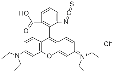 RHODAMINE B ISOTHIOCYANATE price.
