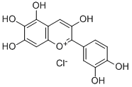 QUERCETAGETINIDIN CHLORIDE WITH HPLC|QUERCETAGETINIDIN CHLORIDE