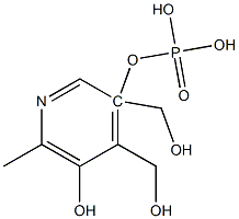 Pyridoxol 5′-Phosphate