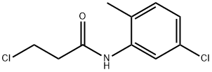 3-chloro-N-(5-chloro-2-methylphenyl)propanamide Structure