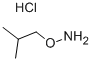 O-ISOBUTYLHYDROXYLAMINE HYDROCHLORIDE price.