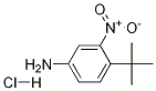 4-tert-Butyl-3-nitro-phenylaMine hydrochloride price.