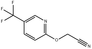 2-[[5-(TRIFLUOROMETHYL)-2-PYRIDYL]OXY]ACETONITRILE|