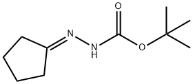 2-環(huán)戊亞基肼甲酸叔丁酯