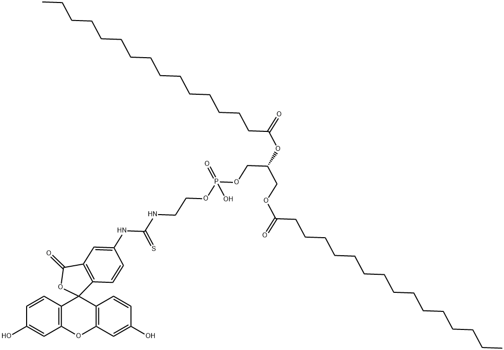 Fluorescein-DipalMitoylphosphatidylethanolaMine price.