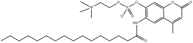 6-HexadecanoylaMino-4-MethyluMbelliferyl Phosphorylcholine Struktur